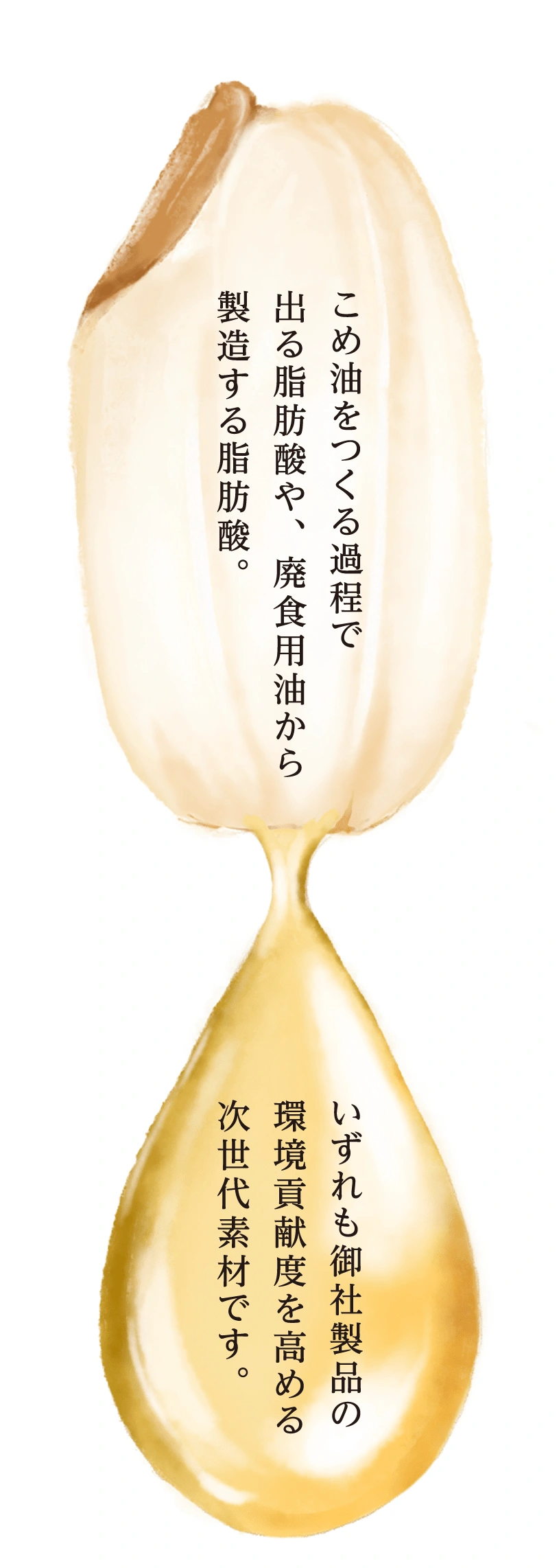 こめ油をつくる過程で出る脂肪酸や、廃食用油から製造する脂肪酸。いずれも御社製品の環境貢献度を高める次世代素材です。
