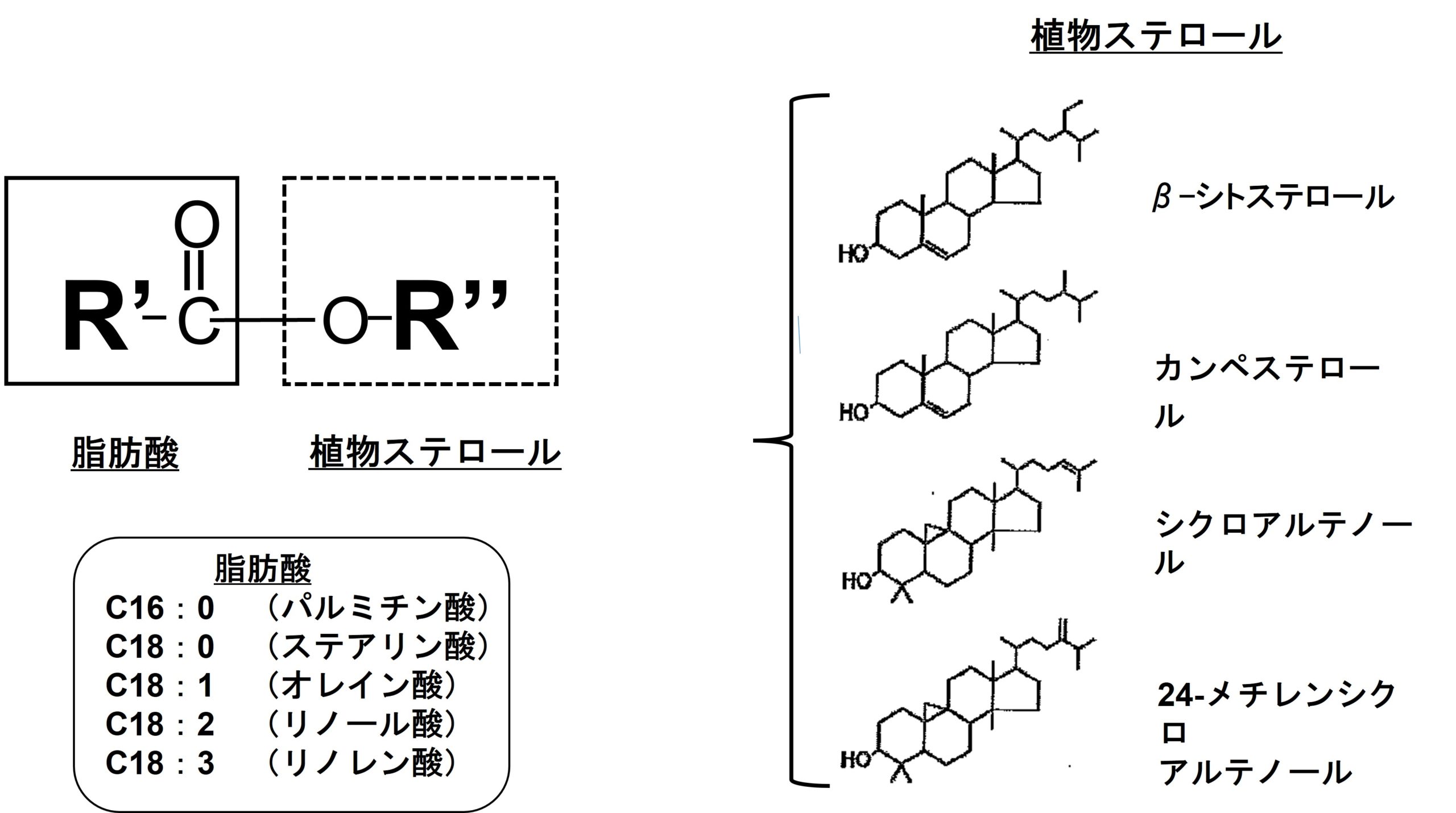 ライステロールエステル – 築野食品工業株式会社｜公式企業サイト