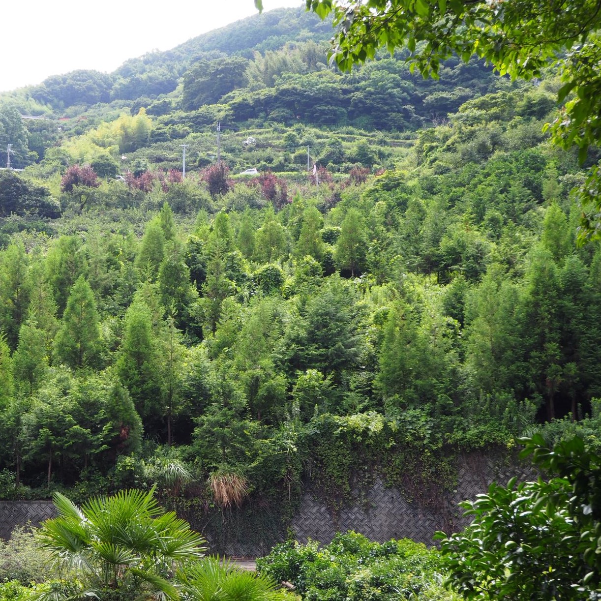 環境活動