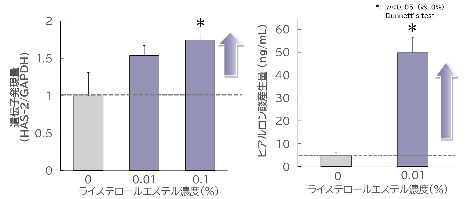 ヒアルロン酸産生