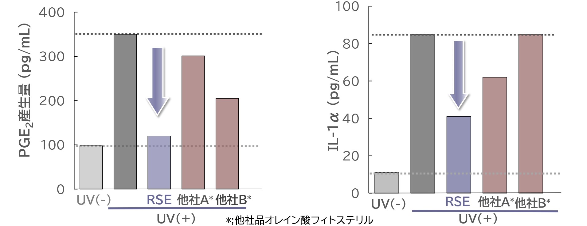 アンチエイジング