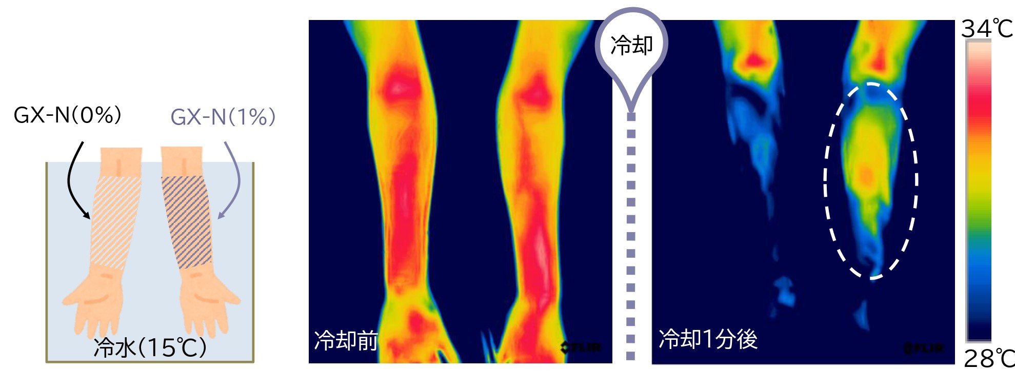 血行促進作用